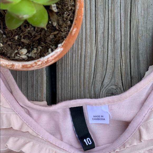 🌿H & M Blush Ruffle Tank dress - Picture 2 of 4